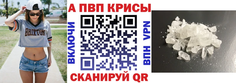 A PVP СК КРИС  Сокол 