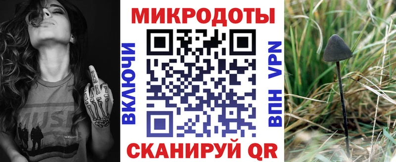 Псилоцибиновые грибы мицелий мега зеркало Сокол