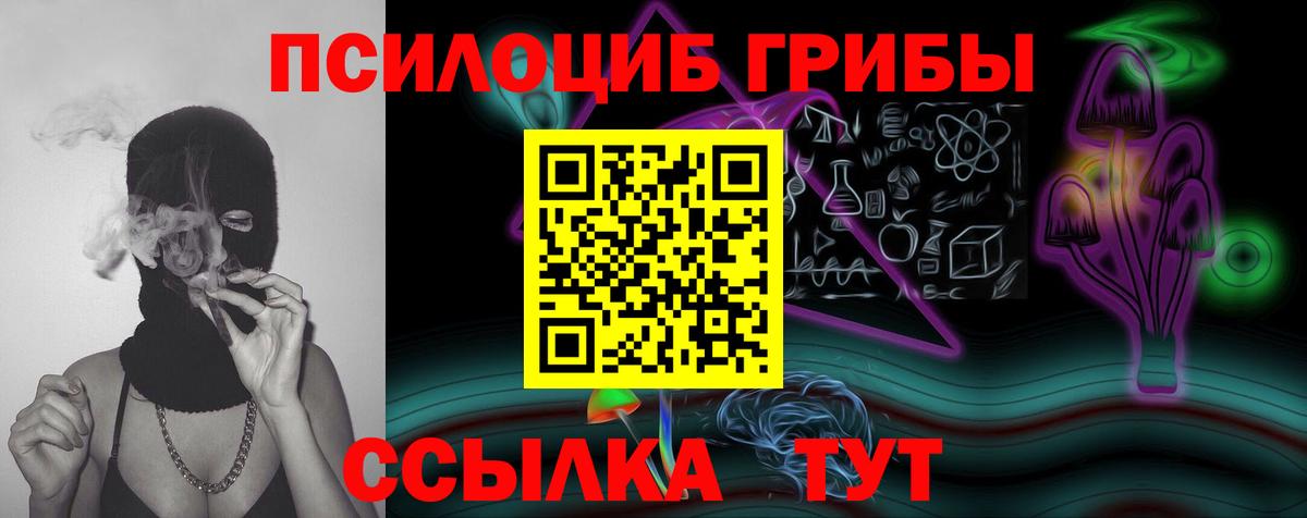 Сокол  Галлюциногенные грибы Magic Shrooms  Вход с VPN 